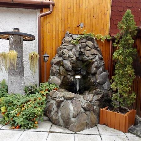 Sfântu-Gheorghe Tulipan Panzio B&B 외부 사진