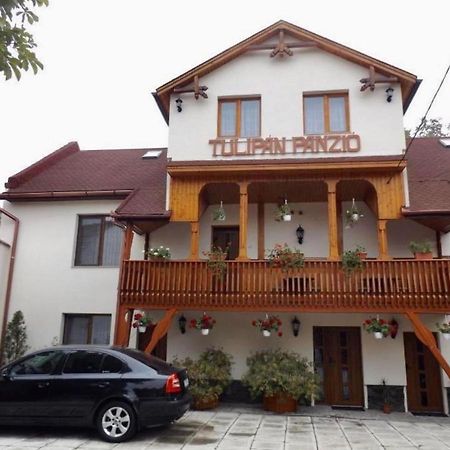 Sfântu-Gheorghe Tulipan Panzio B&B 외부 사진