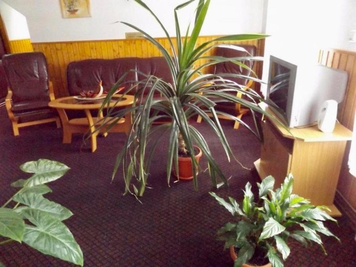 Sfântu-Gheorghe Tulipan Panzio B&B 외부 사진